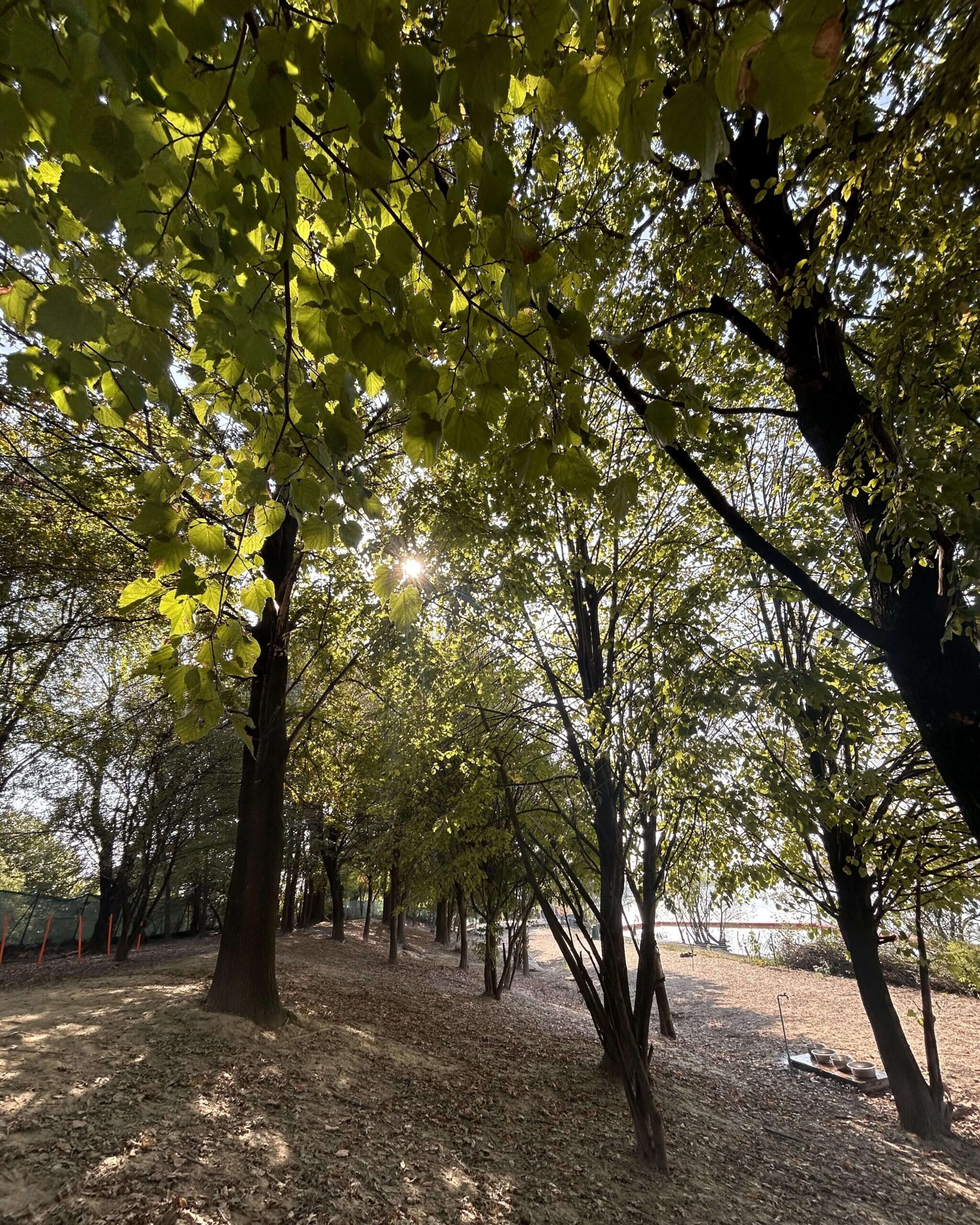 4.000 mq di Libertà