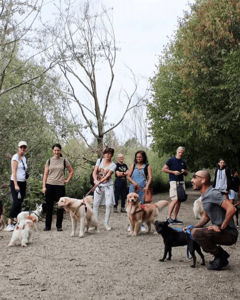 Il tuo cane merita il meglio.Scopri come unirti a noi.